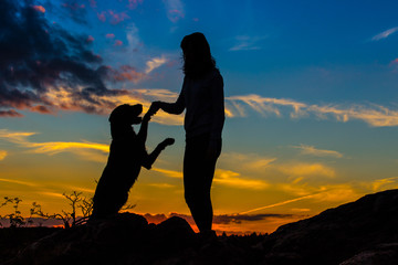 A silhouette of a young woman and her mutt dog.