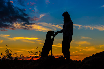A silhouette of a young woman and her mutt dog.