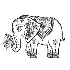 Beautiful card vector