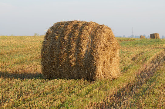 Landscape with straw bales.