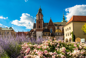 Wawel cathedral in Krakow, Poland