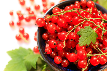 Berries of red currant isolated on white background
