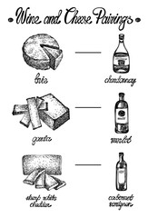 Wine and cheese pairings. Sketchy style. Hand drawn graphic illustration in vector. Ink drawing.