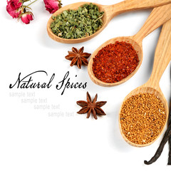 Different spices and herbs in wooden spoons isolated on white