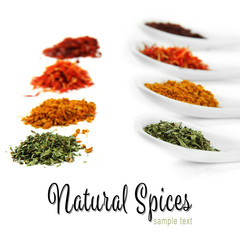 Different spices in  white spoons, isolated on white