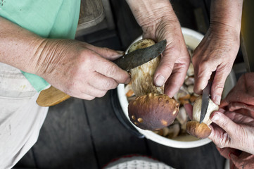 Women Peeling Mushrooms