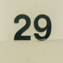 Number 29