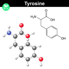 Phenylalanine amino acid chemical structure