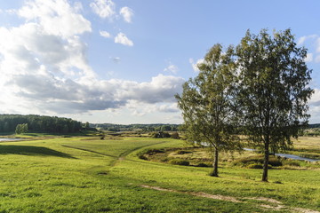 за городом осенний день у берез 