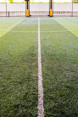 Soccer field artificial grass