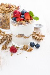 healthy dessert with natural yogurt, muesli and berries on white
