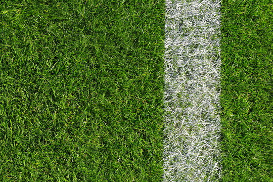 Fototapeta Green field for sport games