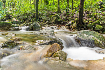 Mountain stream in rain forest.