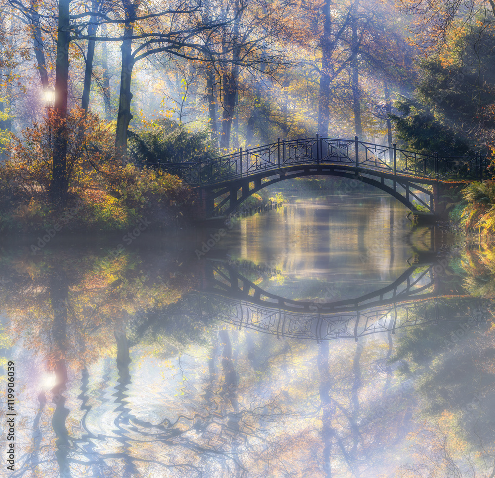 Poster beautiful romantic bridge in a park with colorful trees and sunlight and reflections in pond water a