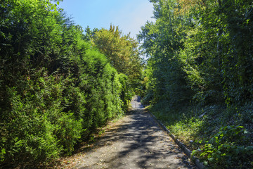 Fototapeta na wymiar Rural pathway at Kalth of