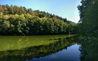 Fototapeta na wymiar Natur See umgeben von dichtem Wald