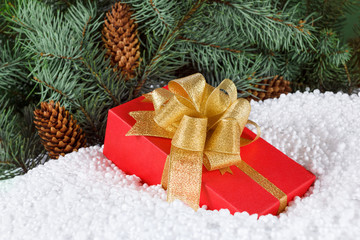 Gift box with ribbon in snow under pine tree