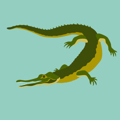 Crocodile isolated realistic vector illustration flat style