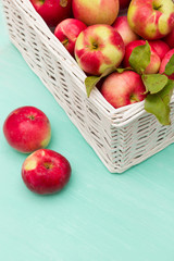 Top view on white basket full of fresh red organic apples on turquoise background. Autumn Harvest. Healthy snack.