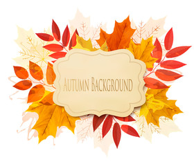 Autumn background with leaves. Vector.