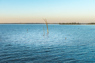 Submerged branch on the parana river in Itaipu dam