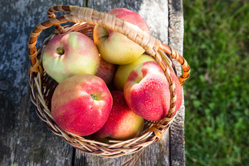 ripe apples in basket on rustic table. red autumn apples