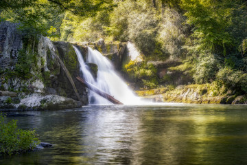 Fototapeta na wymiar Roaring Falls