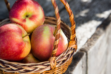 ripe apples in basket on rustic table. red autumn apples