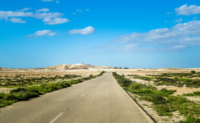 The Makhtesh Gadol, spring in Negev desert, Israel