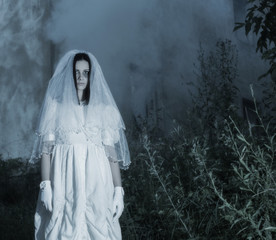 bride's ghost in the night forest