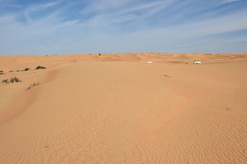 Fototapeta na wymiar Sandwüste Dubai