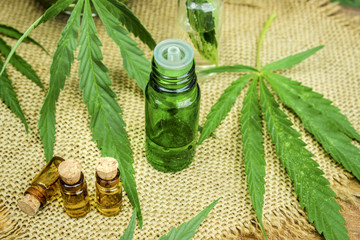 cannabis for treatment (decoction, tincture, extract oil). 