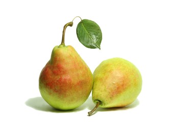 Two ripe yellow pears