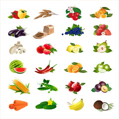 24 food icons set. Vector
