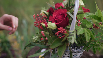 Creation of a flower arrangement of roses.