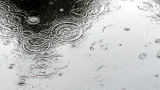 Regentropfen fallen in eine Pf&uuml;tze
