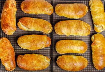 Fresh baked holiday nut rolls