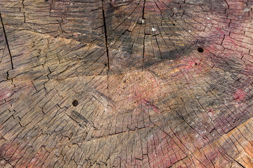 log texture background