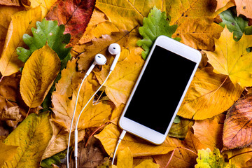 Autumn composition. Colorful leaves, smart phone, earphones. Stu
