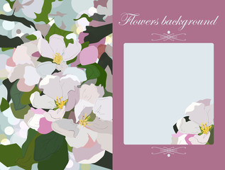Vector floral greeting card , gift card , apple blossoms , backg