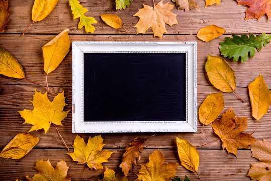 Autumn leaf composition with picture frame. Copy space.