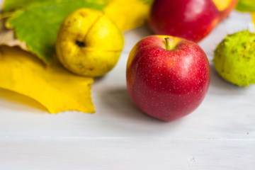 Autumn background-apples and pears on golden leaves