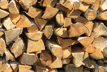 Chopped and stacked birch firewood as a background