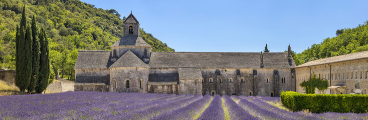 Fototapeta na wymiar panorama of summer day in old church with lavender field