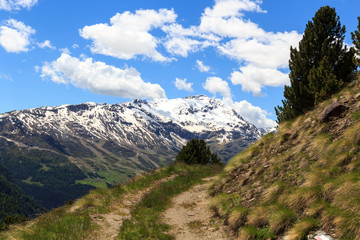 Obraz premium Mountain Monte Sobretta and hiking path in Ortler Alps, Italy