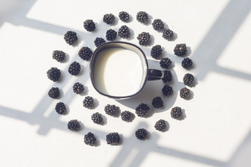 Various fresh summer berries. Blackberries and cup of milk isolated on white background. Top view