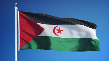 Sahrawi Arab Democratic Republic flag against clean blue sky, close up, isolated with clipping path...