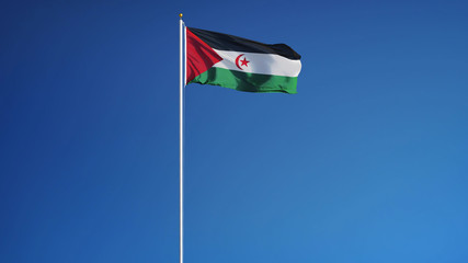 Sahrawi Arab Democratic Republic flag against clean blue sky, long shot, isolated with clipping path mask alpha channel transparency