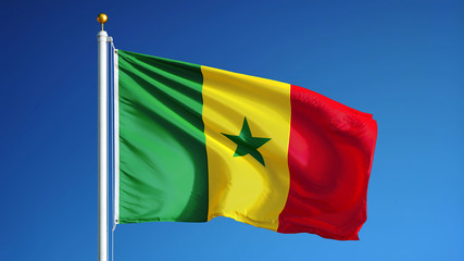 Senegal flag waving against clean blue sky, close up, isolated with clipping path mask alpha channel transparency