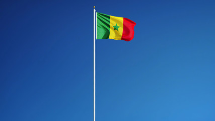 Senegal flag waving against clean blue sky, long shot, isolated with clipping path mask alpha channel transparency
